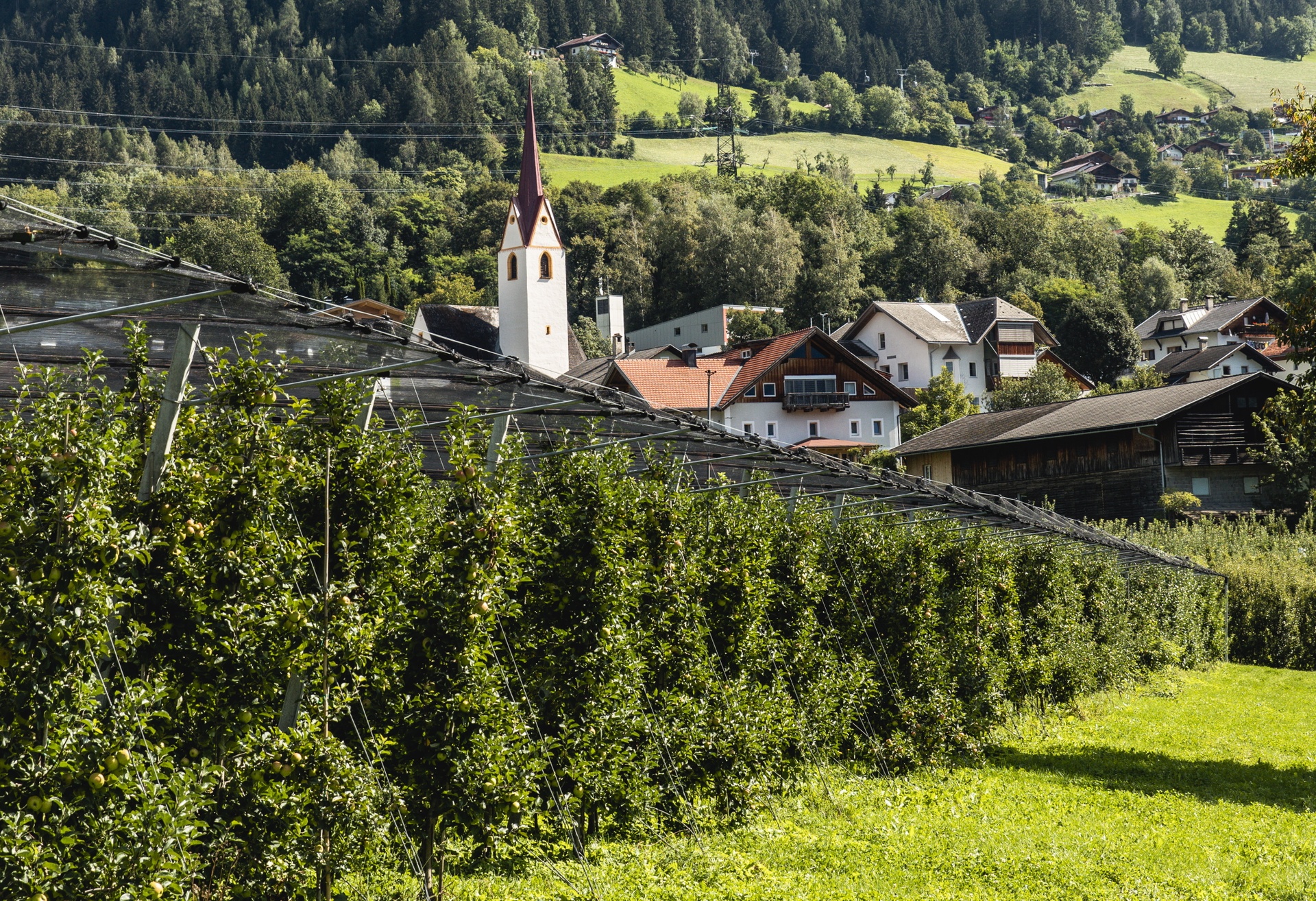Folien Bild