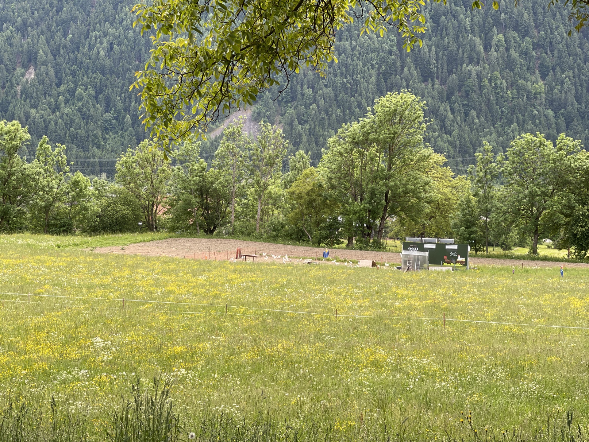 Folien Bild