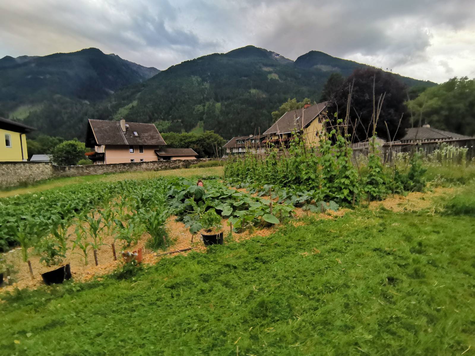 Folien Bild