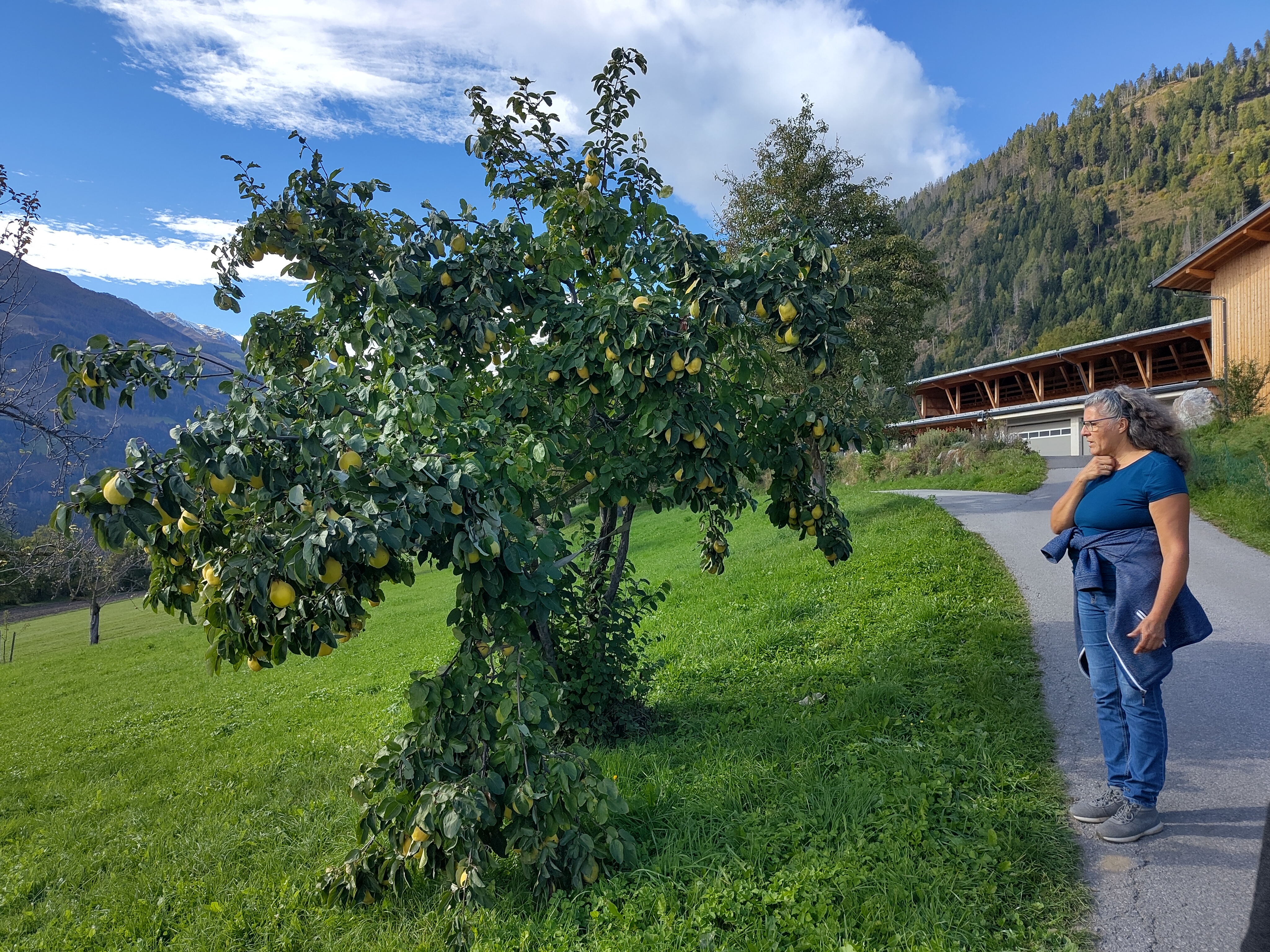 Folien Bild