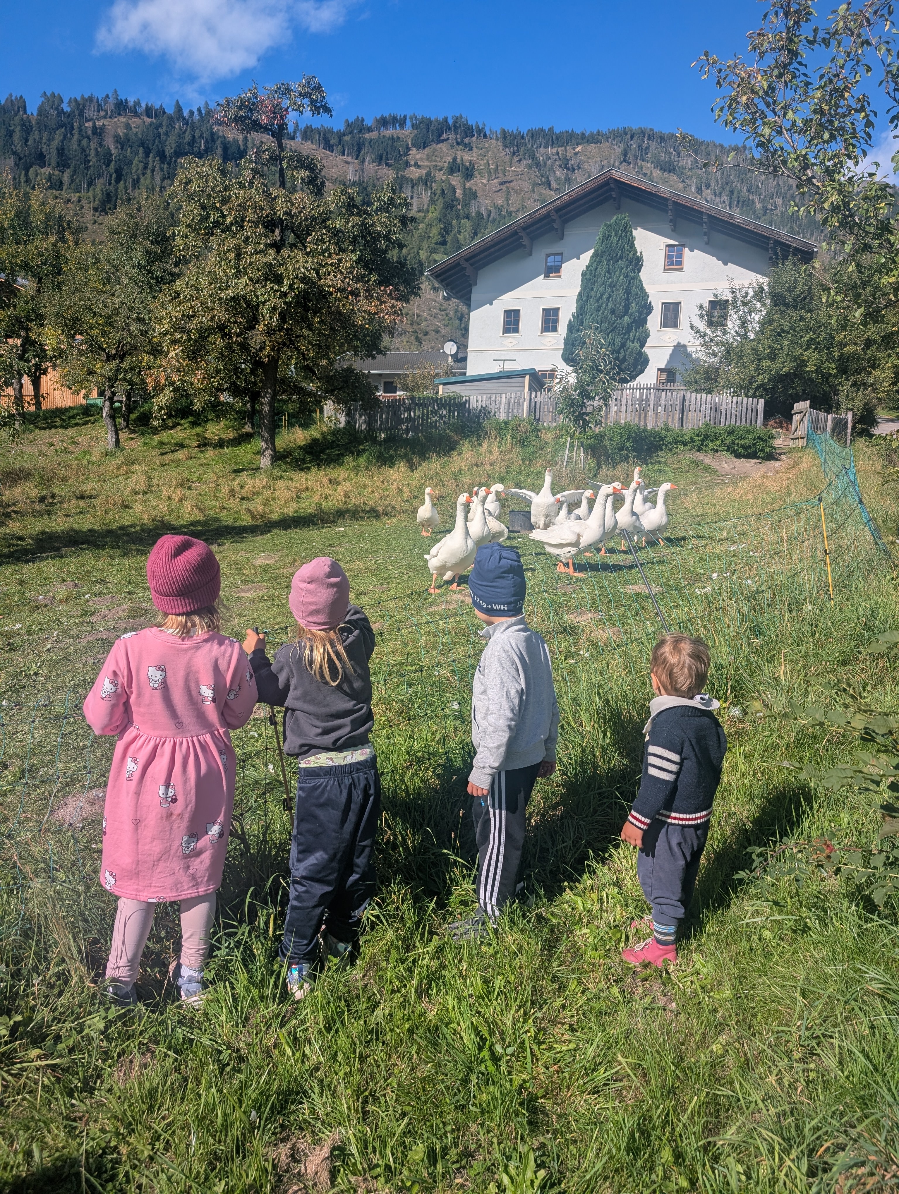 Folien Bild