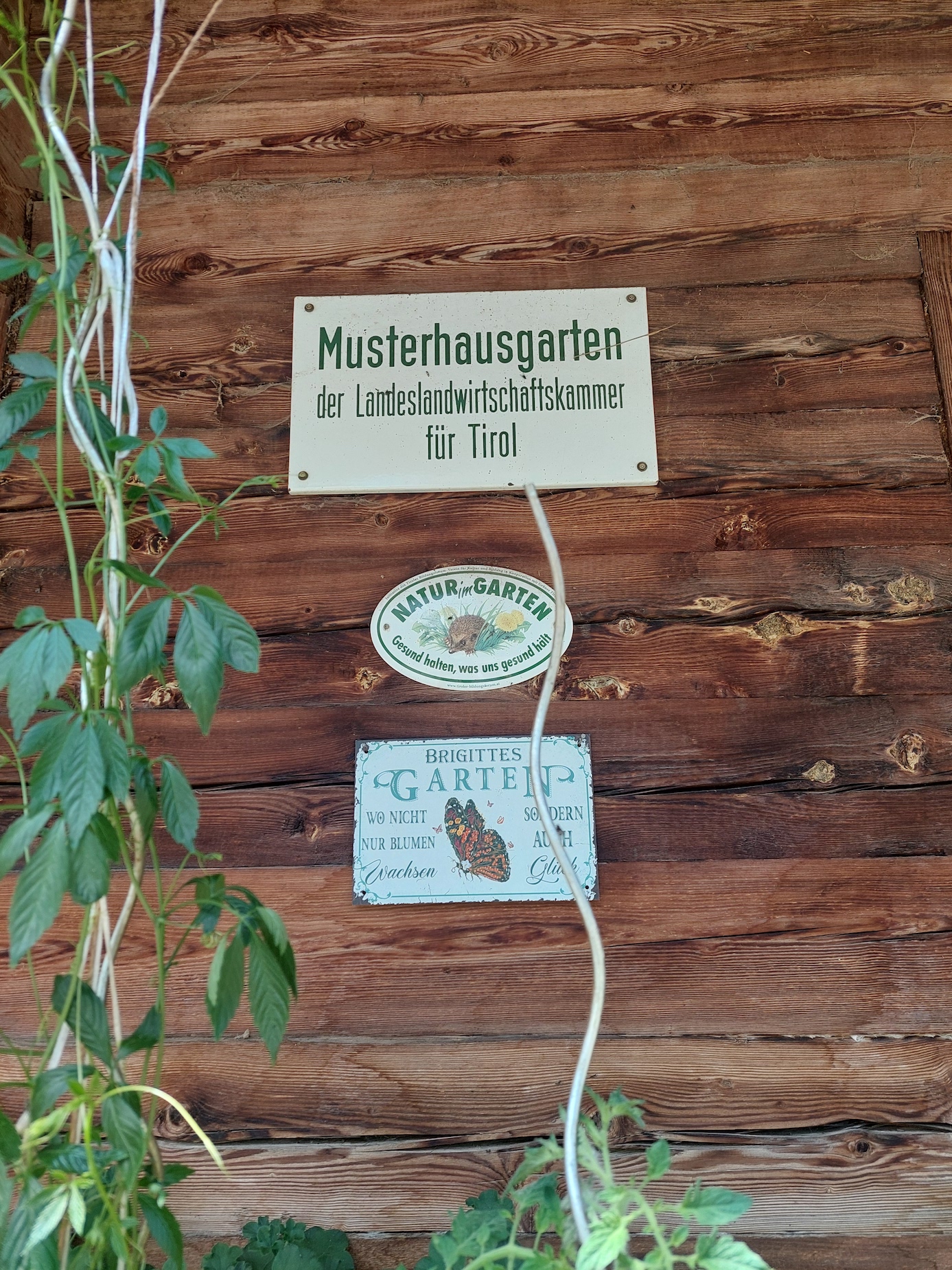 Folien Bild